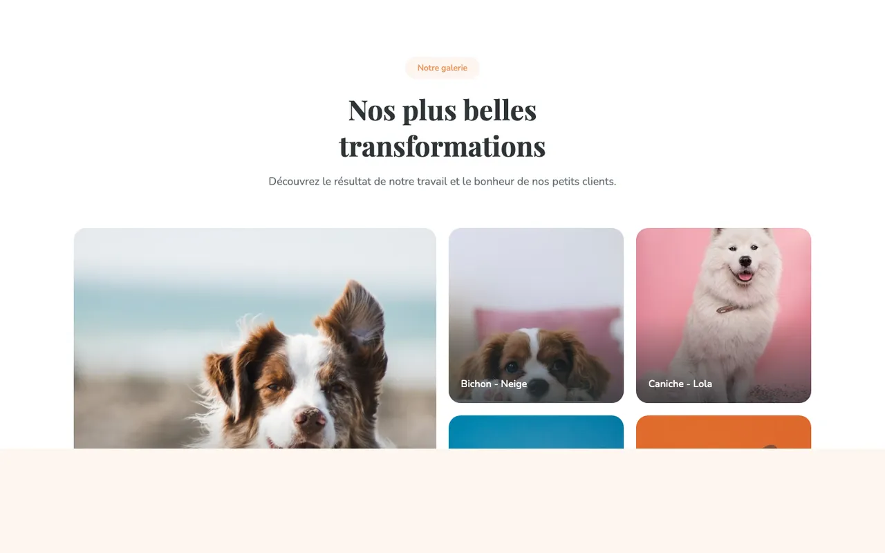 Patte Douce — aperçu 2